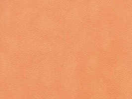 Leather Upholstery 南亞呼吸系列 皮革 沙發皮革 3844 柳橙雲彩